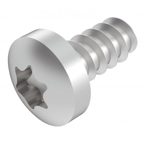 Lens head metal screw 13.05 | 9.5